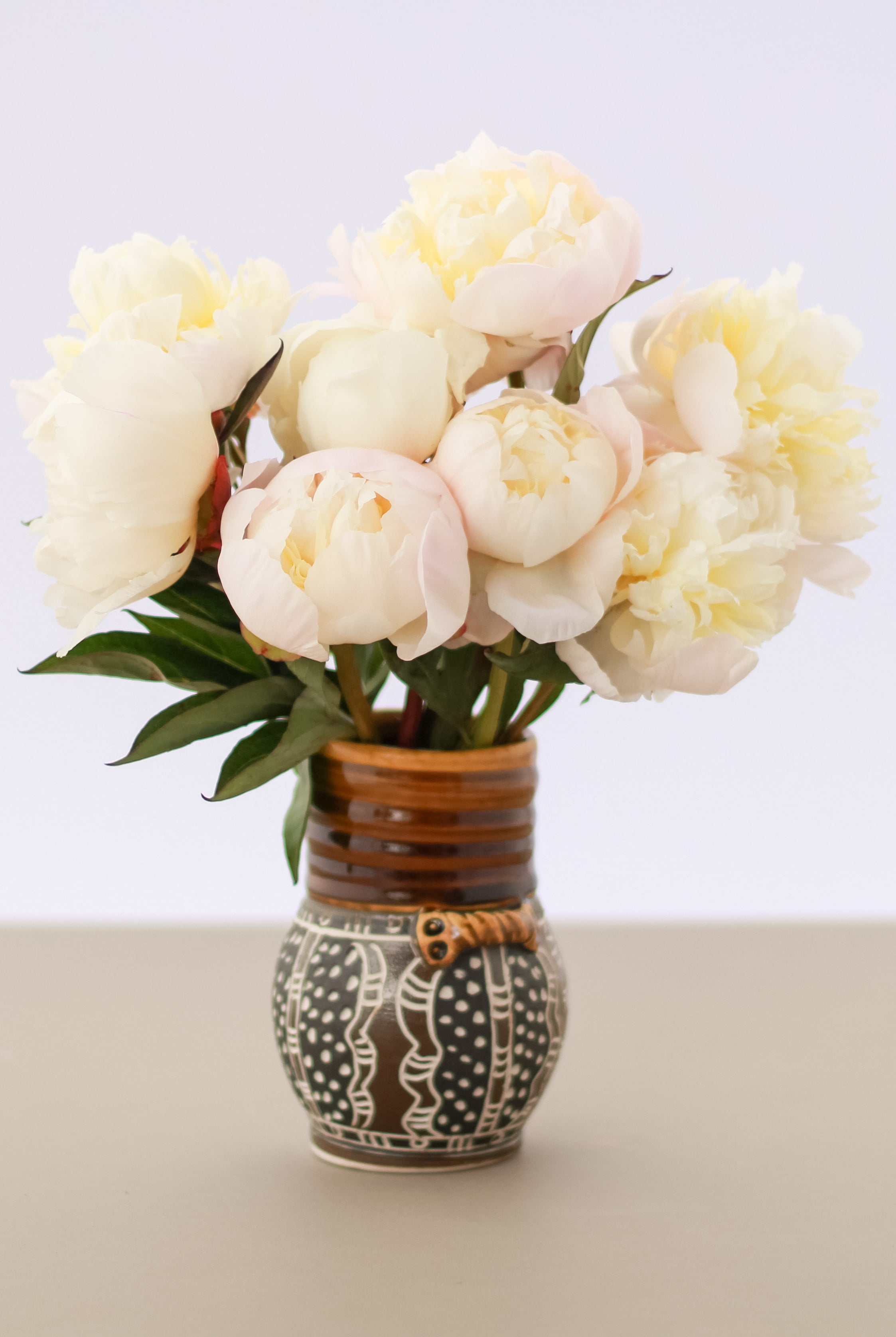 Just Amalia Olson - 25 Stems