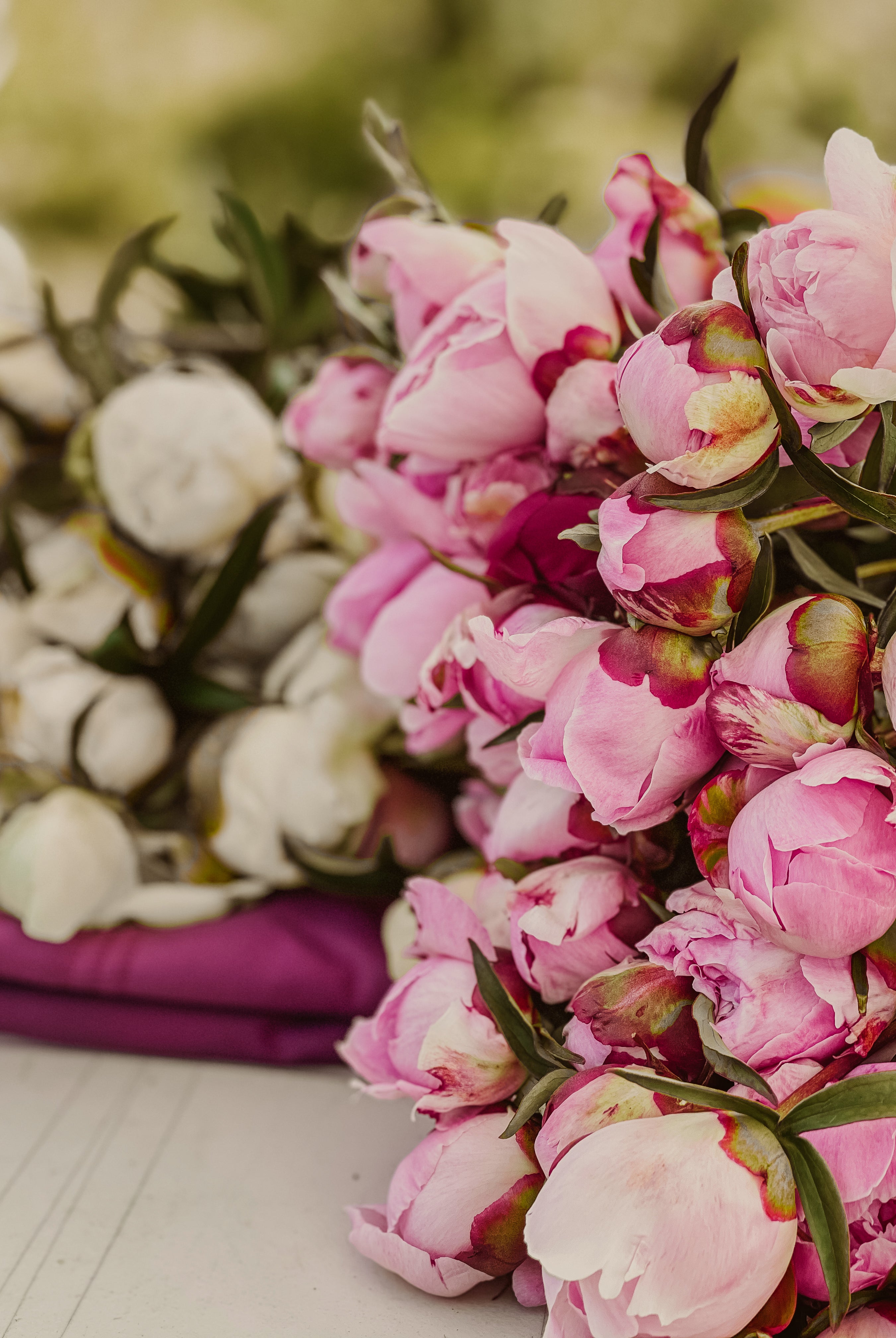 Pastel Petites - 50 Stems