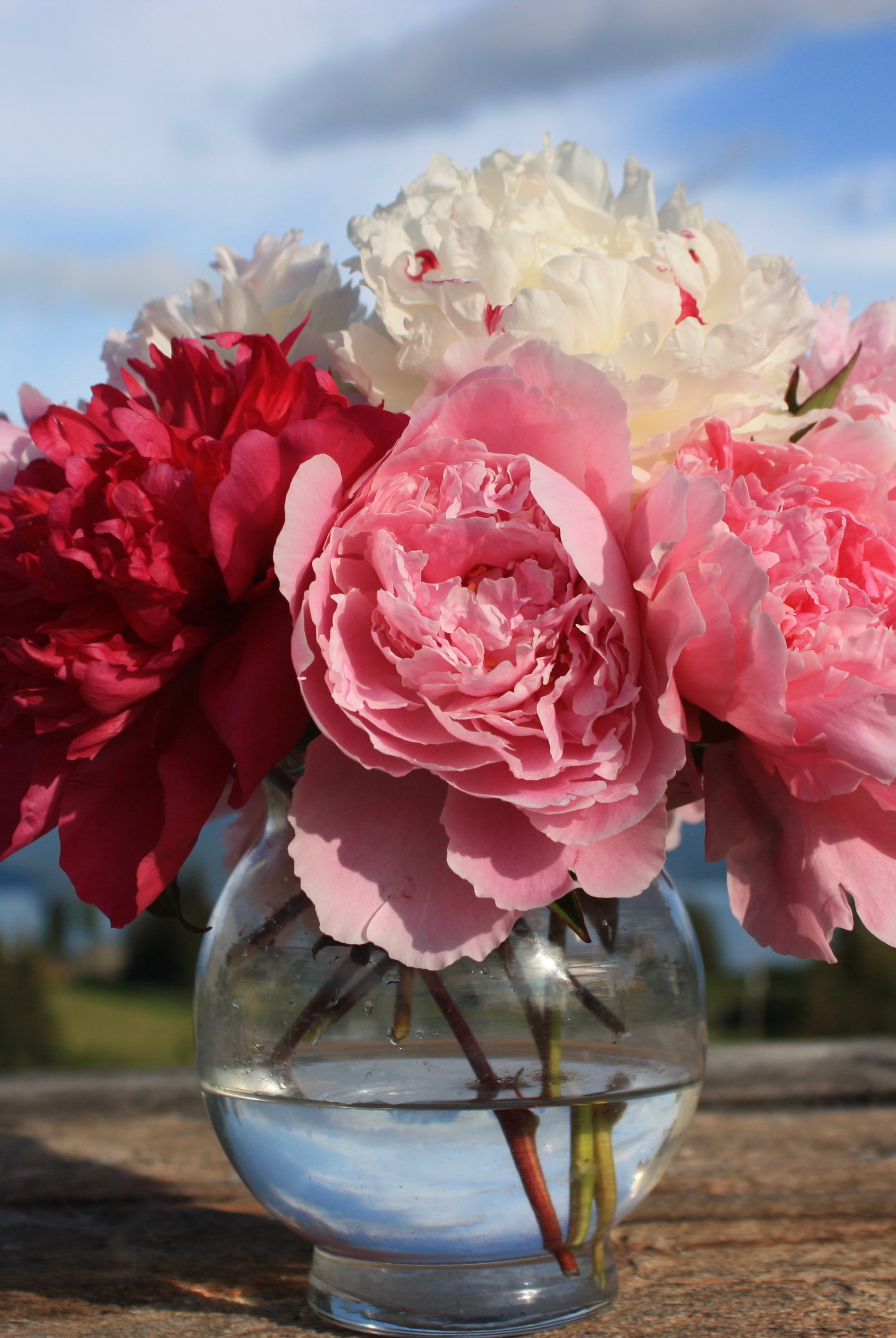 Alaska Mix - 13 Stems