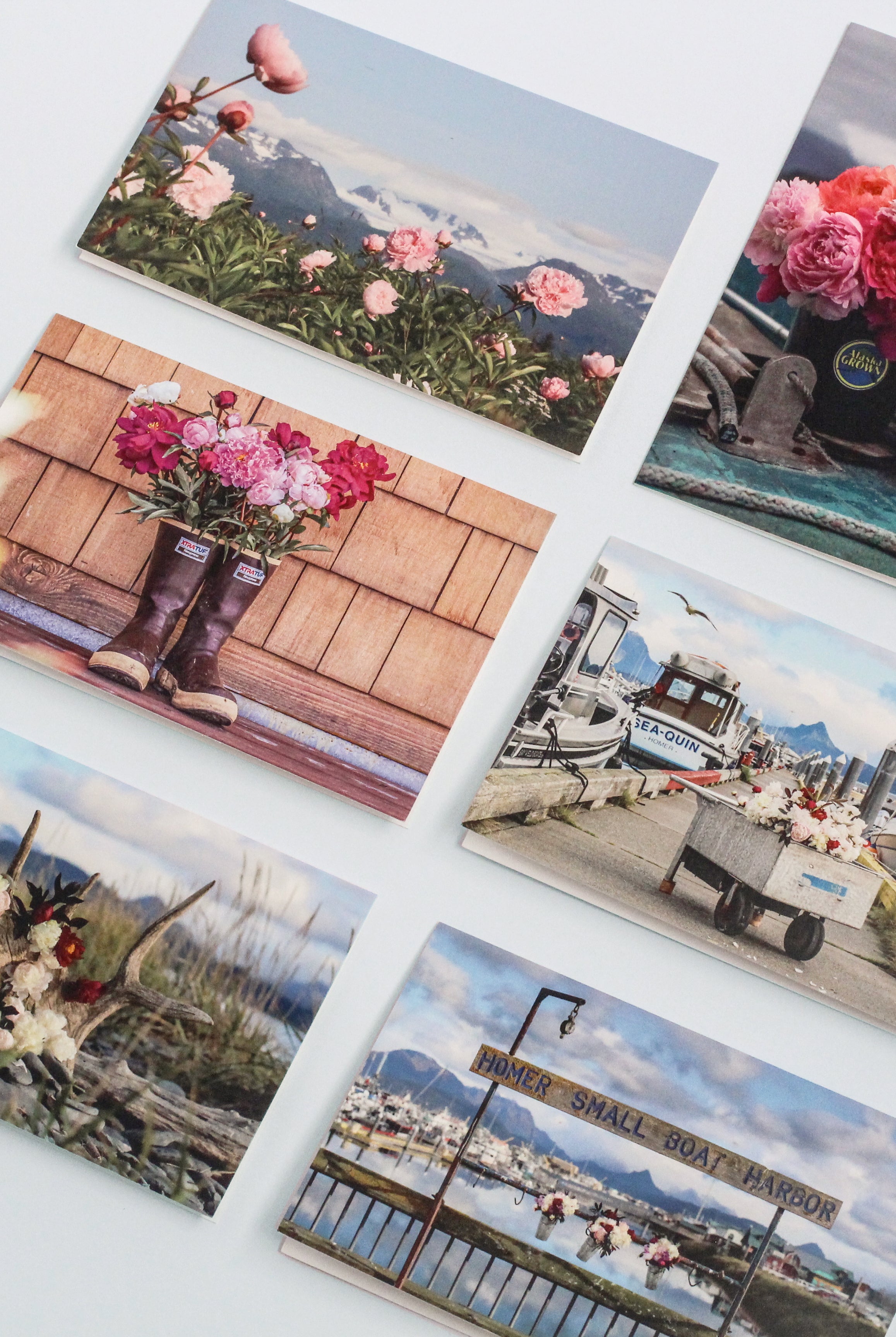 Pick Joy! Peony Notecards - Set of 6