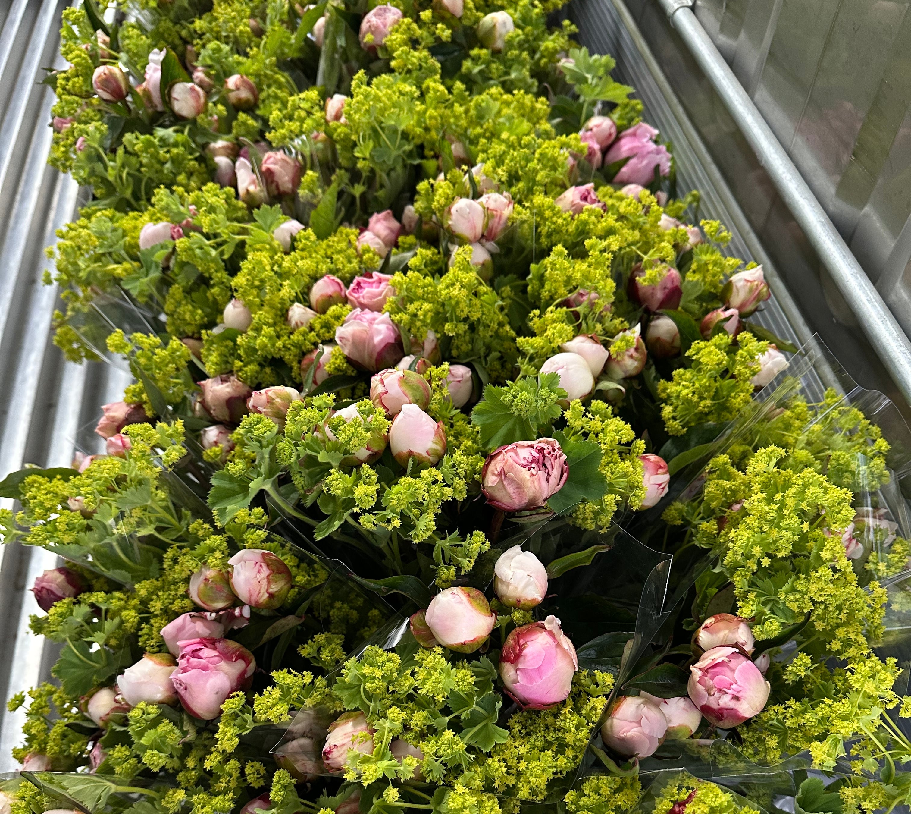 2026 Flower Subscription | Homer Pick-Up Only