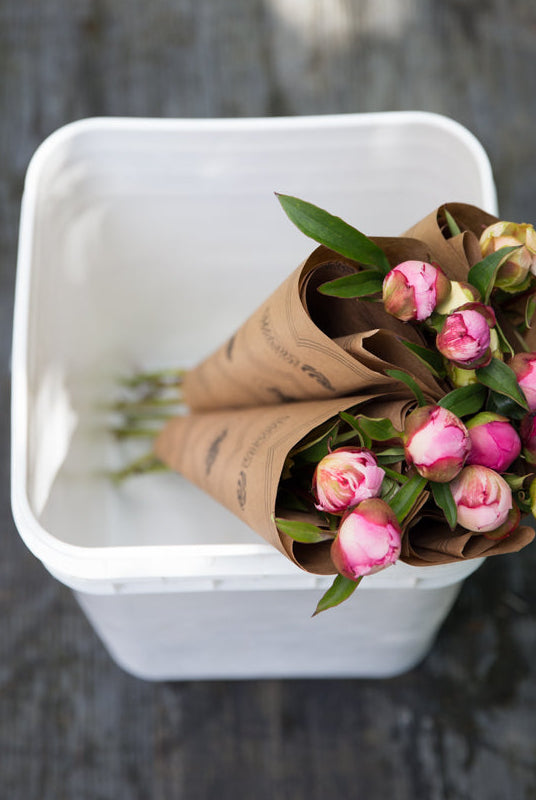 Bucket Deposit-Flowers-Alaska Beauty Peony Coop-Alaska Beauty Peony Coop
