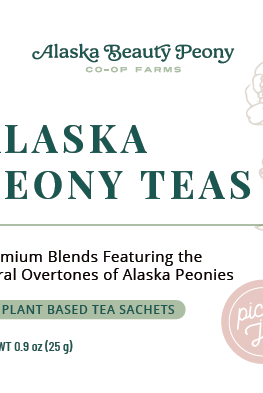 Alaska Peony Tea Sachet Box-Wholesale-Alaska Beauty Peony Coop-Alaska Peony Black Tea-10-Alaska Beauty Peony Coop