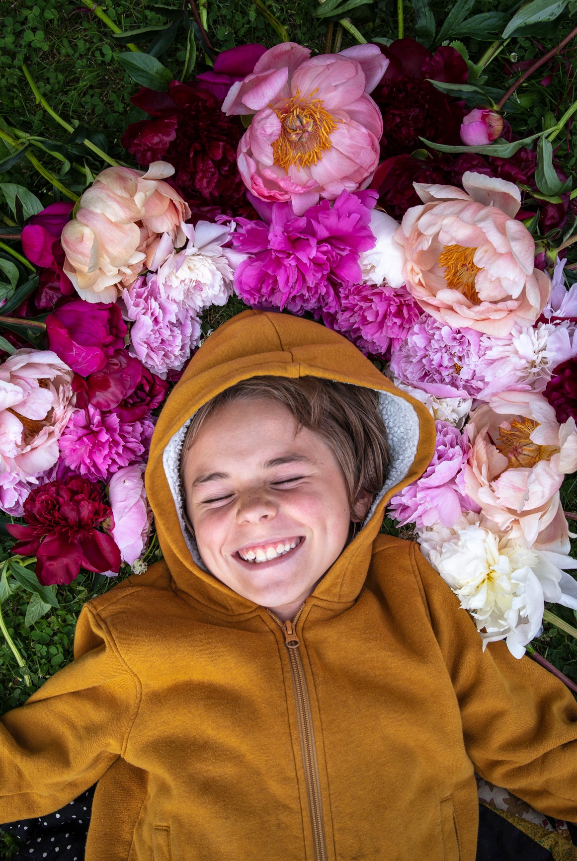 Alaska Mix - 13 Stems