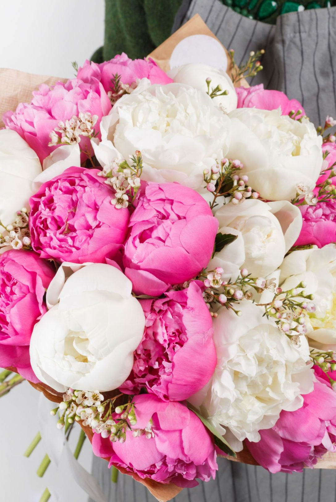 Designer Box | 100 Stems-Subscription-Alaska Beauty Peony Coop-White-1-July 20-Alaska Beauty Peony Coop