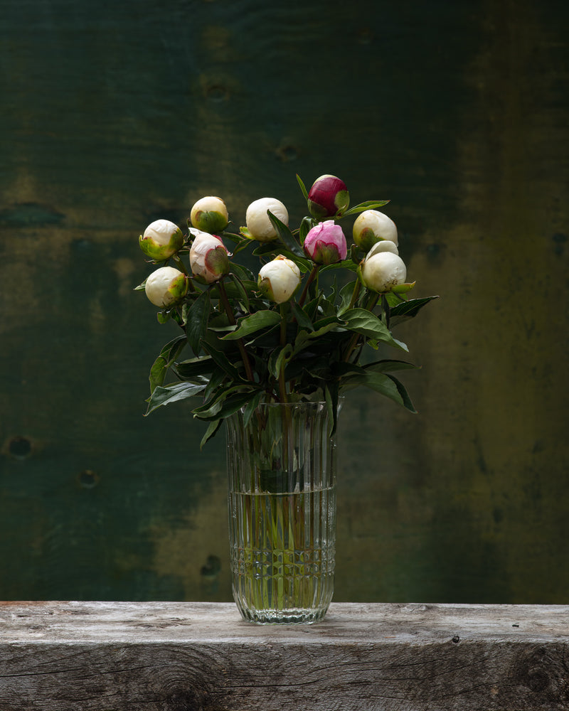 
                  
                    Load image into Gallery viewer, Peonies Farmer&amp;#39;s Choice Box
                  
                
