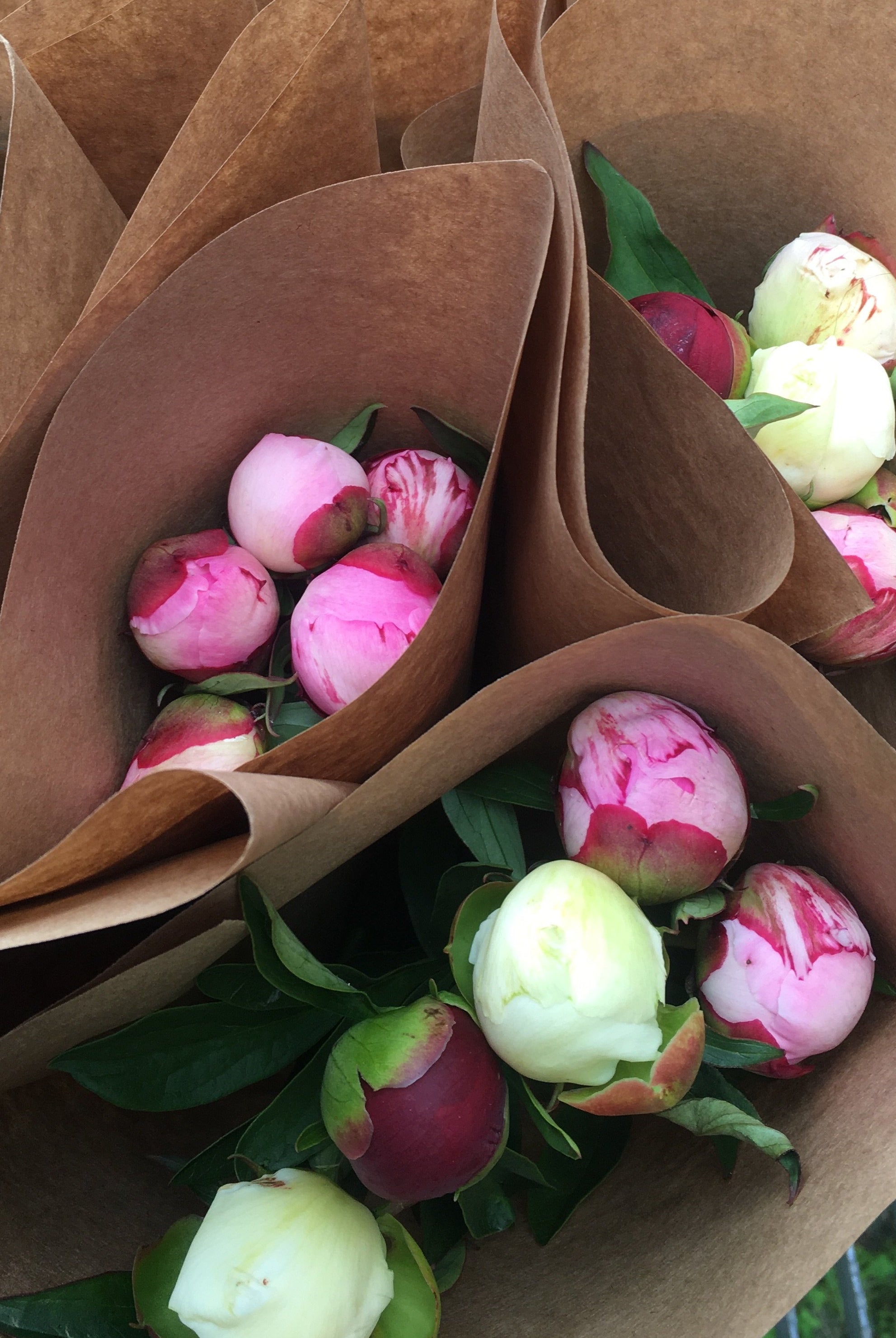 Farmer's Choice Bunch | Homer Pick-Up Only