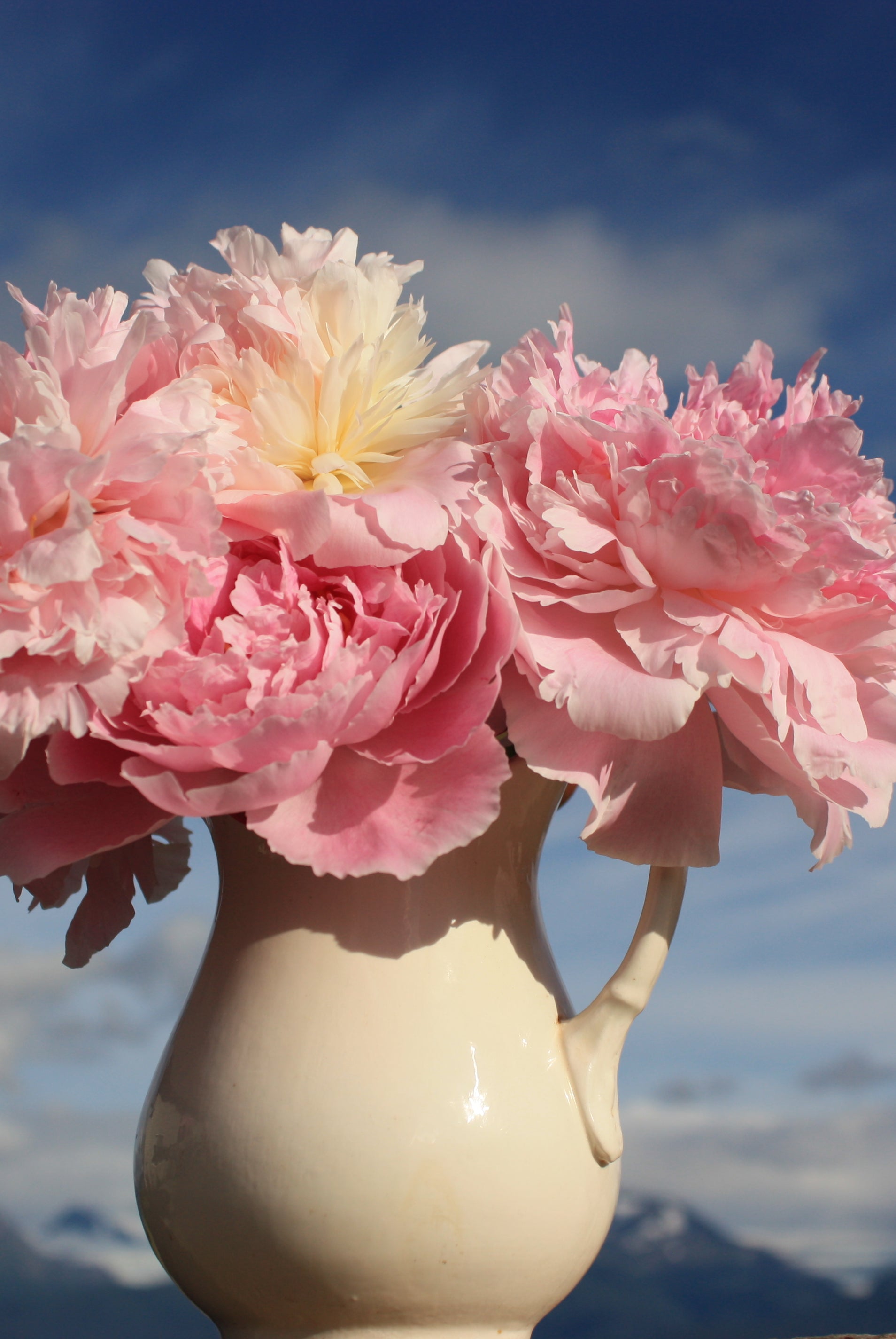 Pastel Petites - 50 Stems