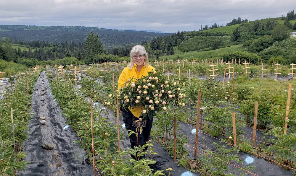 Hidden Hills Peony Farm // Boni + MG