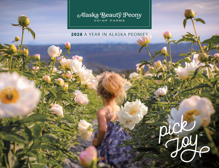 Pick Joy! 2026 Peony Calendar - Wholesale-Wholesale-Alaska Beauty Peony Coop-Alaska Beauty Peony Coop