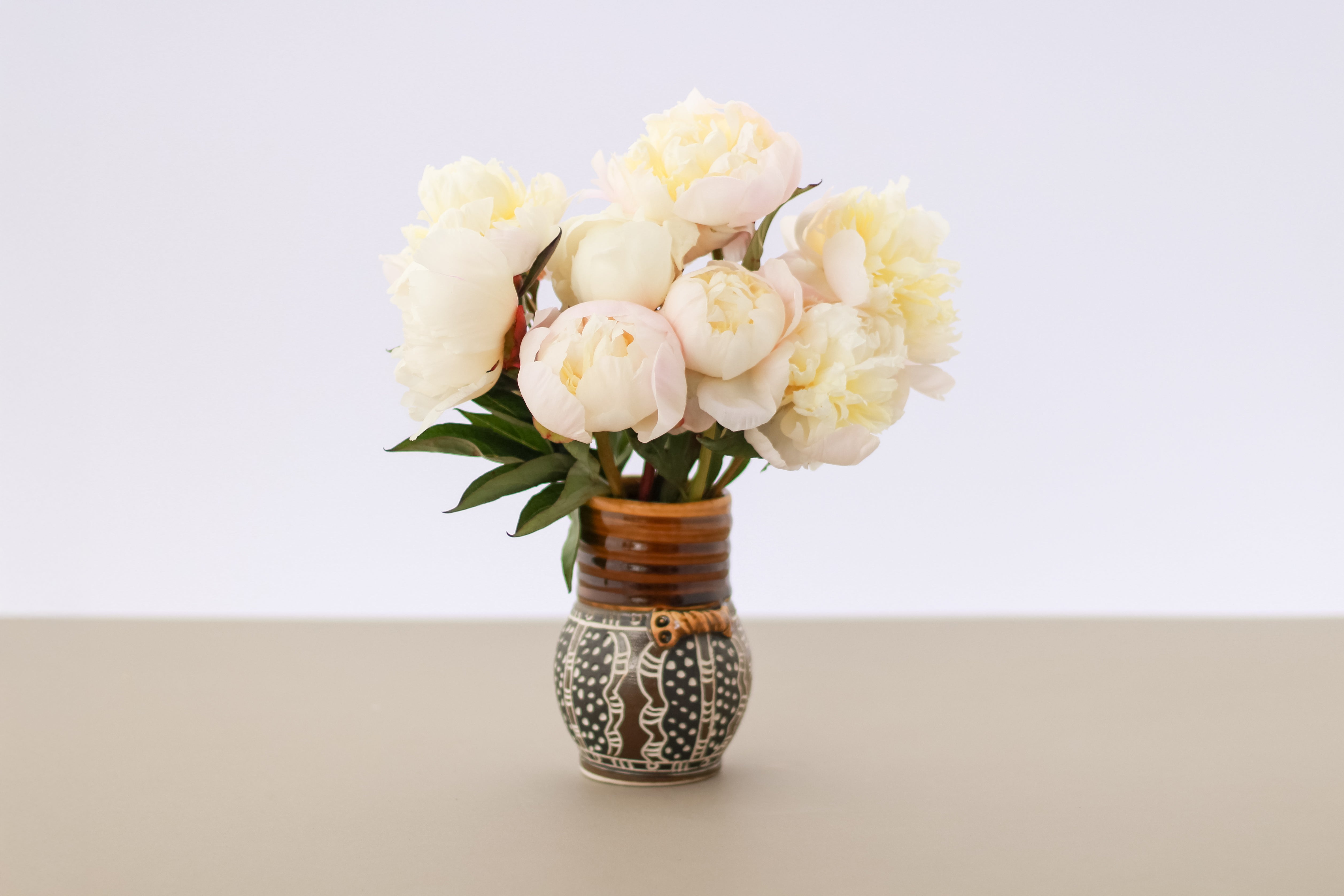 Just Amalia Olson - 25 Stems