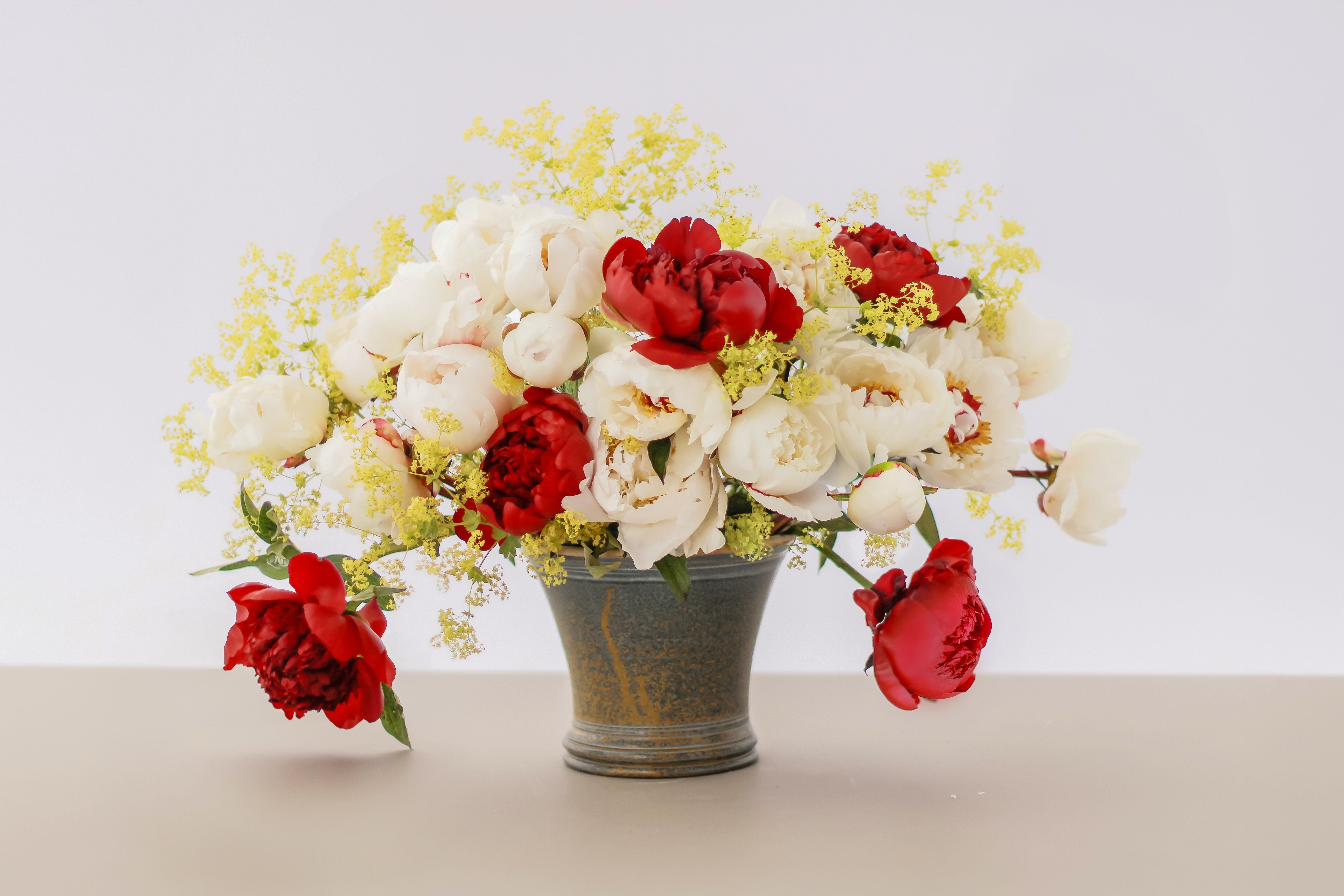 Summer Dream - 13 Stems-Flowers-Alaska Beauty Peony Coop-Alaska Beauty Peony Coop