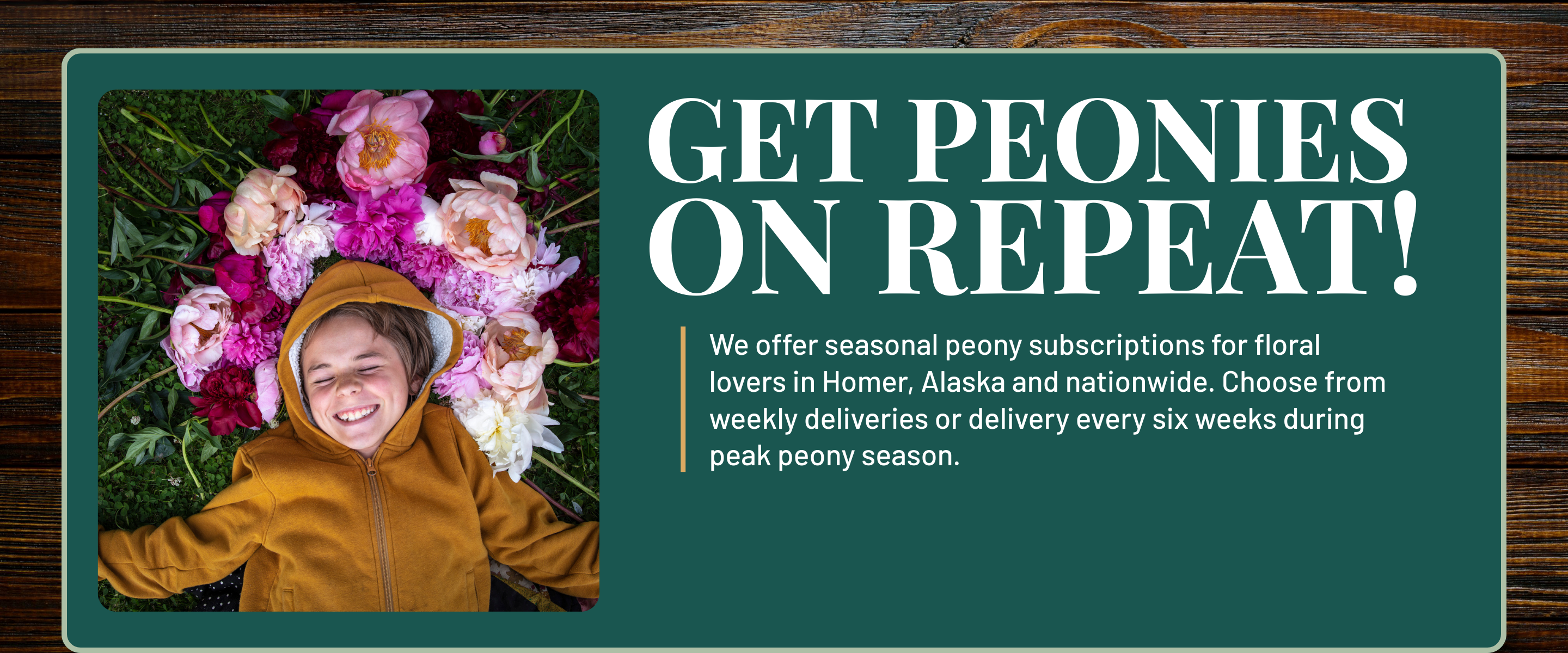 Get Peonies on Repeat | We offer subscription services to floral lovers based both in Homer, AK and nationwide! Choose from a weekly delivery up or up to every 6 weeks during peak peony season | Alaska Beauty Peony Cooperative | Homer, AK