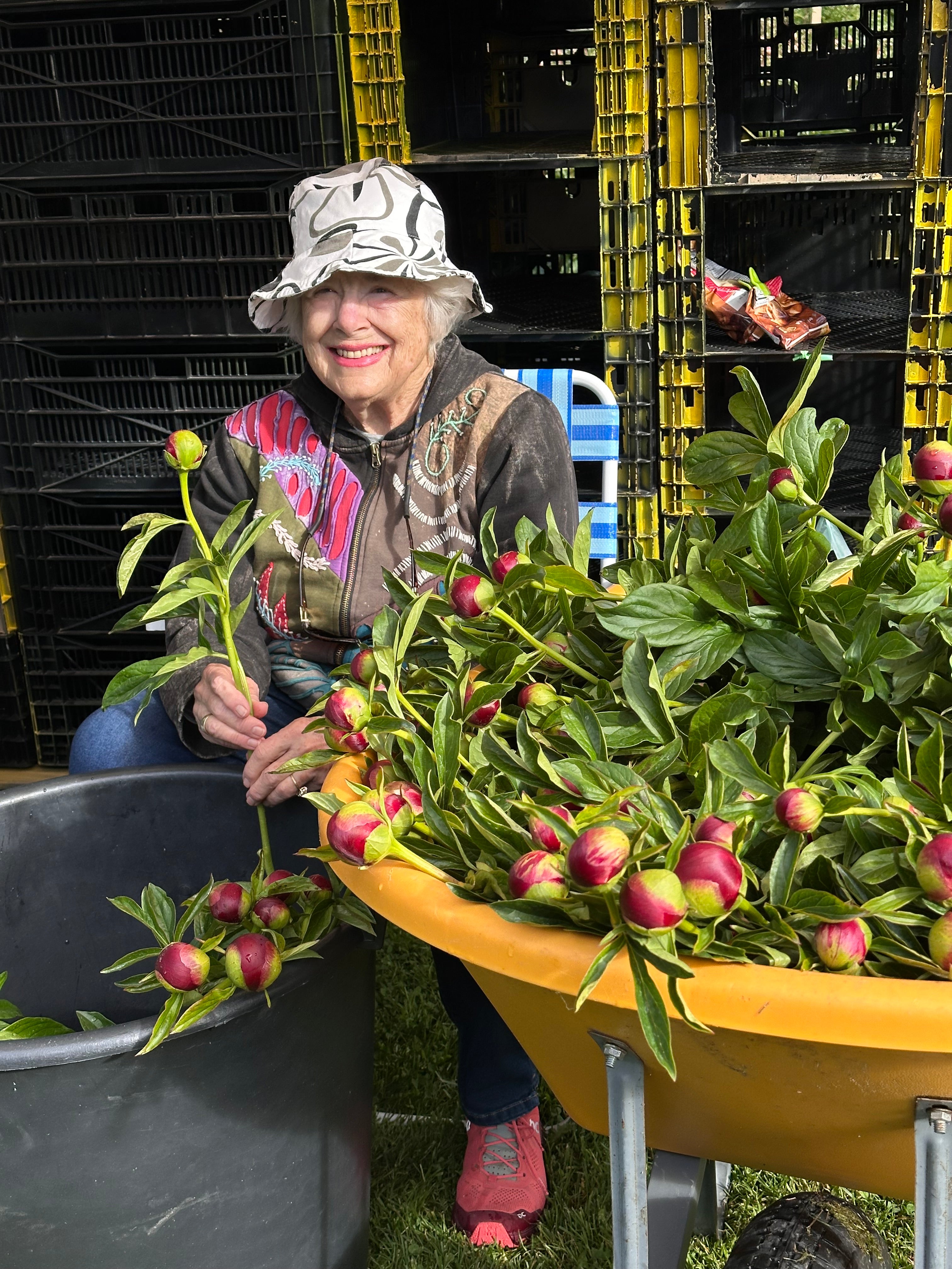 2026 Farmer for a Day-Event-Alaska Beauty Peony Coop-Alaska Beauty Peony Coop