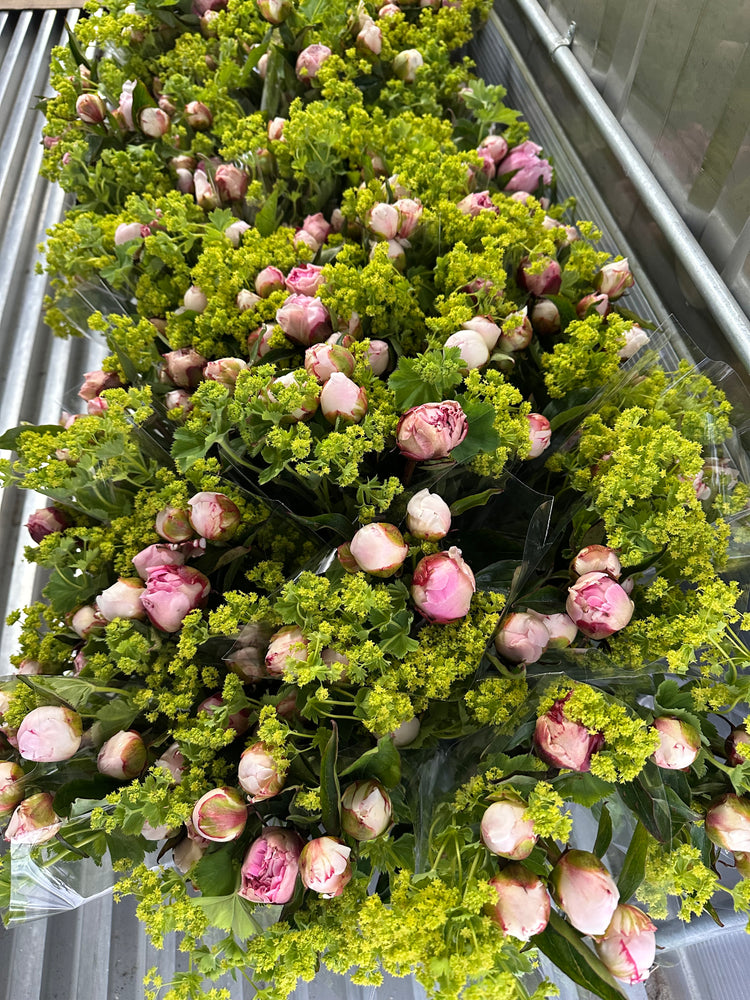 
                  
                    Load image into Gallery viewer, 2026 Flower Subscription | Homer Pick-Up Only
                  
                