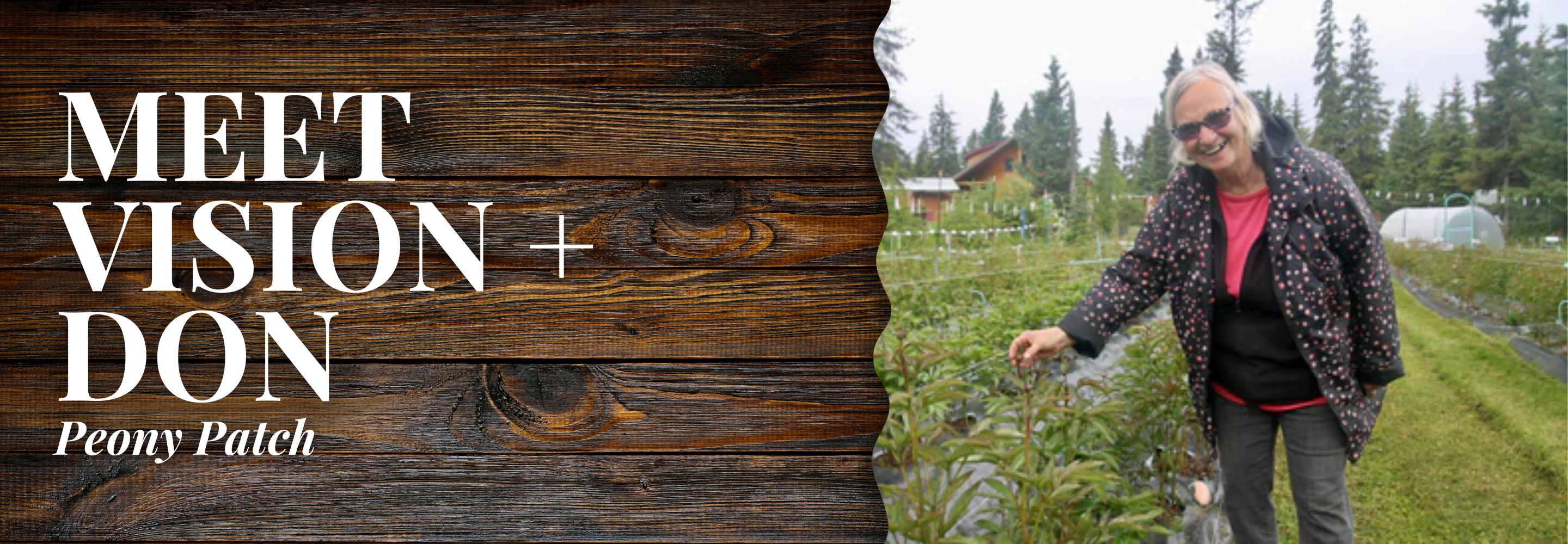Peony Patch // Vision + Don | Desktop Blog Banner | Alaska Beauty Peony Cooperative | Homer, AK