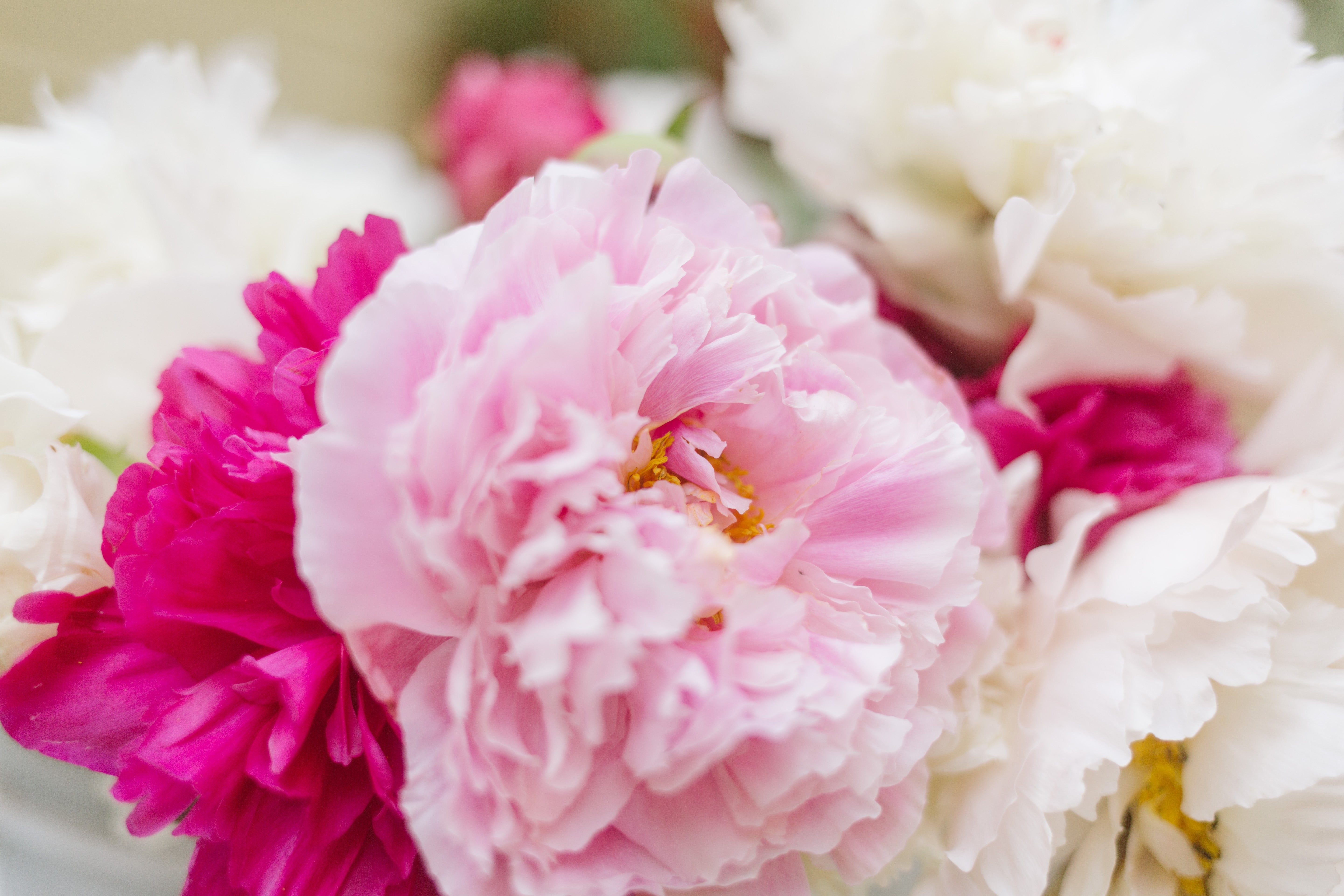 Buckets of Joy! | Homer Pick-up Only