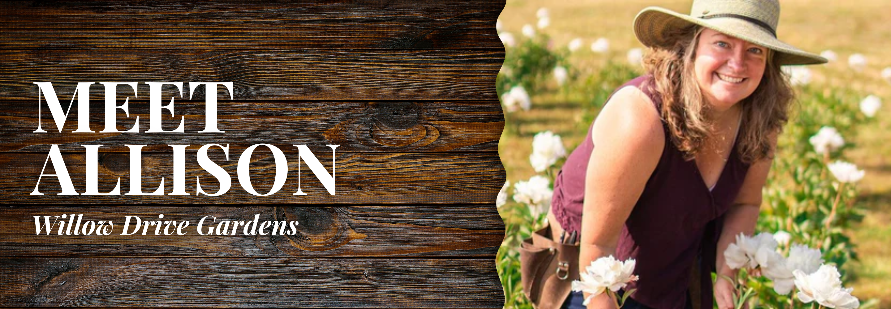 Willow Drive Gardens // Allison | Alaska Beauty Peony Cooperative | Homer, AK