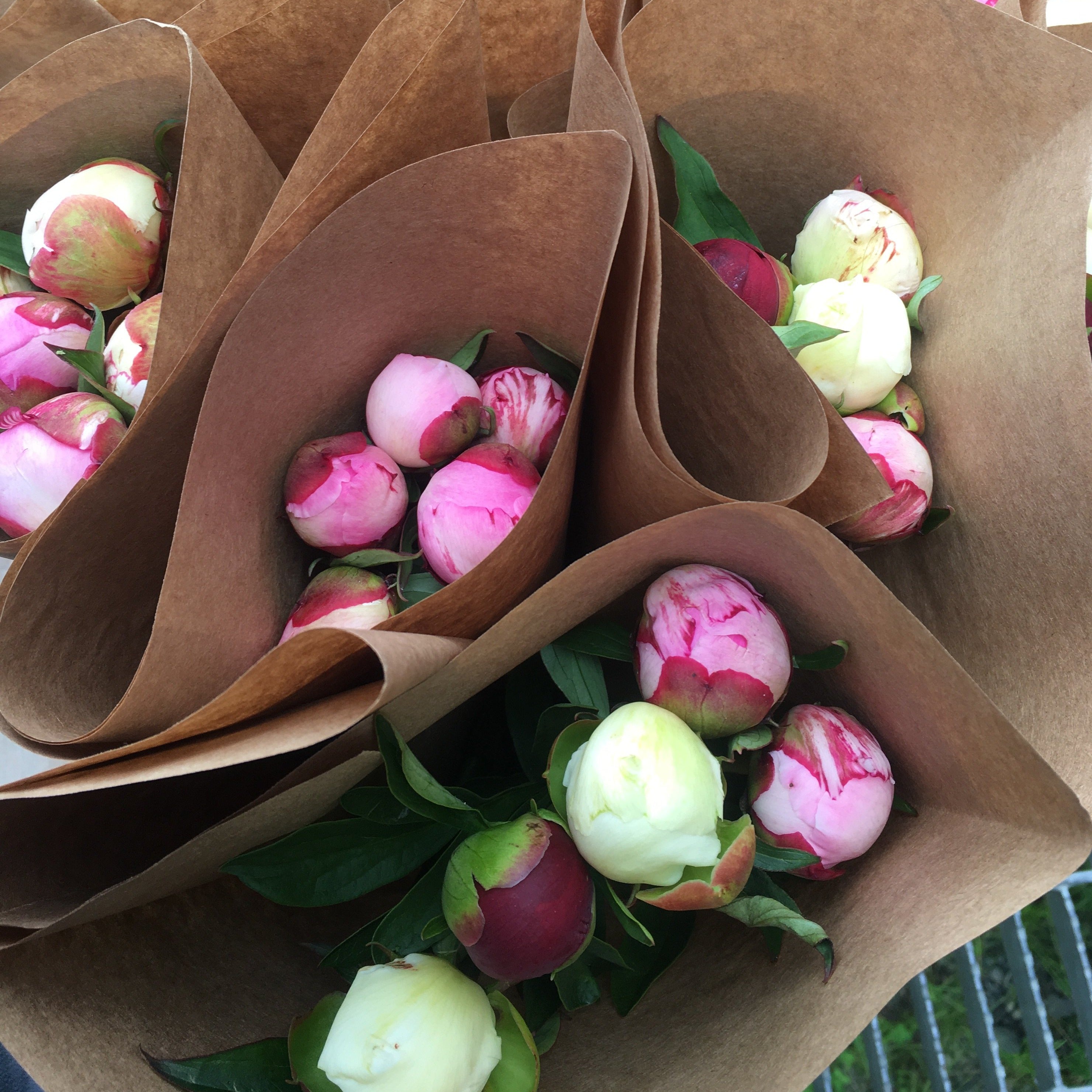 Farmer's Choice Bunch | Homer Pick-Up Only-Flowers-Alaska Beauty Peony Coop-July 18-Pick Up-Alaska Beauty Peony Coop