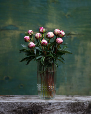
                  
                    Load image into Gallery viewer, Pink Peony Box
                  
                