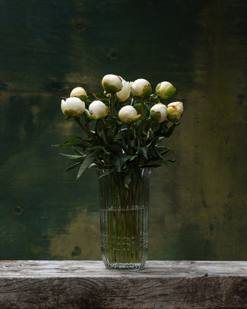 
                  
                    Load image into Gallery viewer, White/Cream Peony Box
                  
                