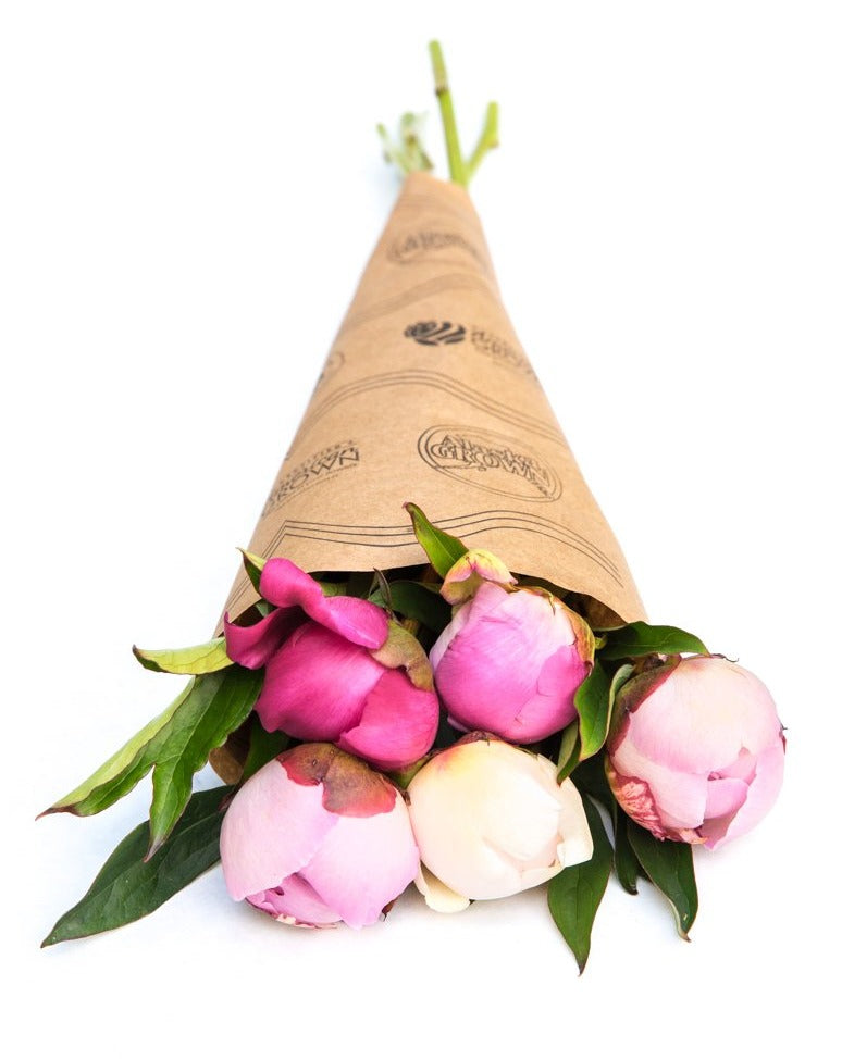 Farmer's Choice Bunch | Homer Pick-Up Only-Flowers-Alaska Beauty Peony Coop-July 18-Pick Up-Alaska Beauty Peony Coop